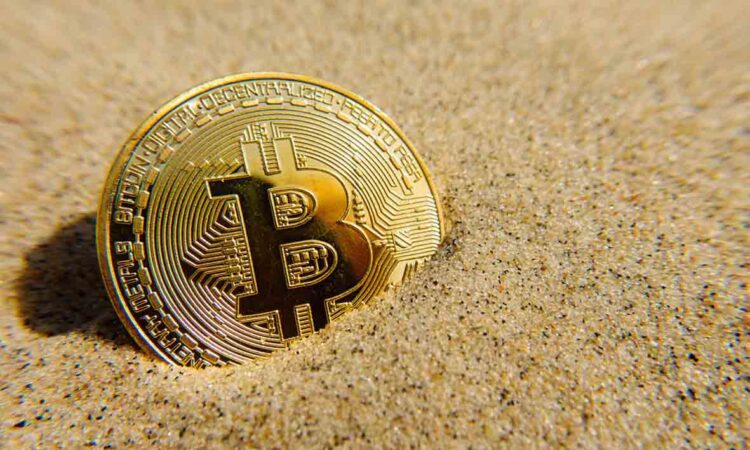 Недвижимость за 33 Биткоин 12 Недвижимость за 33 Биткоин 11