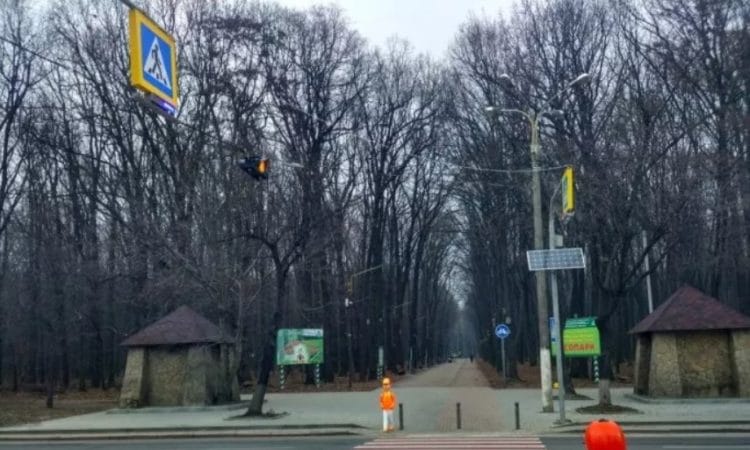 В Киеве появятся пластиковые школьники на оживленных переходах 18