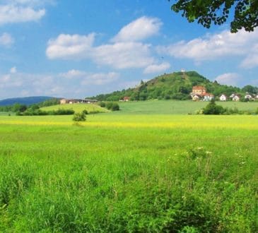 Вибираємо ділянку під забудову 11
