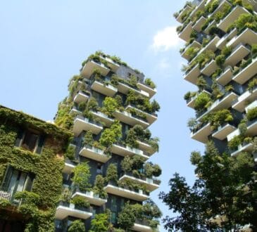 Vertical Forest City