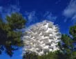 L'Arbre Blanc (Белое дерево) башня. L'Arbre Blanc (Біле дерево) вежа