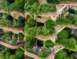 Vertical Forest