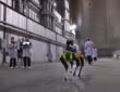 Spot от Boston Dynamics. Spot від Boston Dynamics