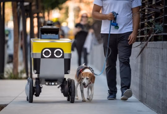 Uber Serve Robotics